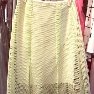 Gorgeous double lines skirt